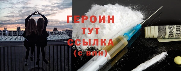 индика Няндома