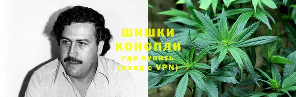 крисы Осташков