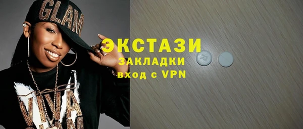 индика Няндома