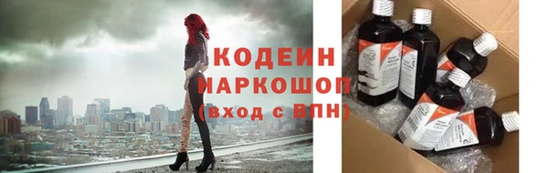 индика Няндома