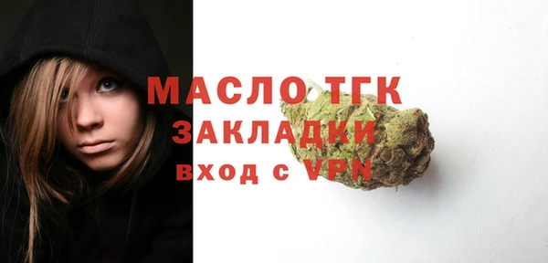 индика Няндома