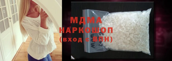 индика Няндома
