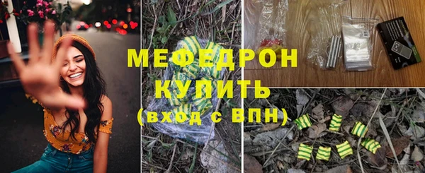 индика Няндома