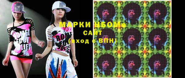 индика Няндома