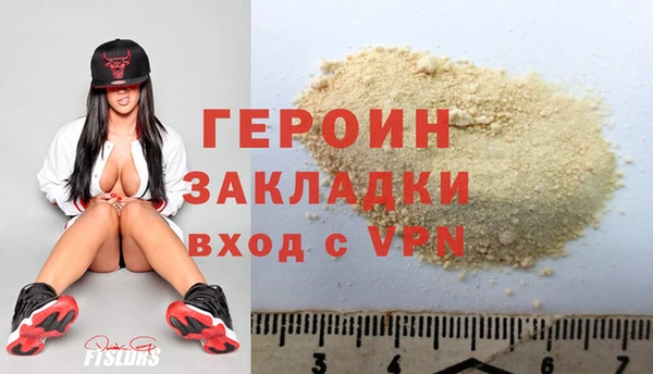 индика Няндома