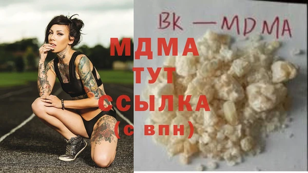 индика Няндома