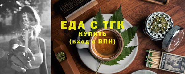 индика Няндома